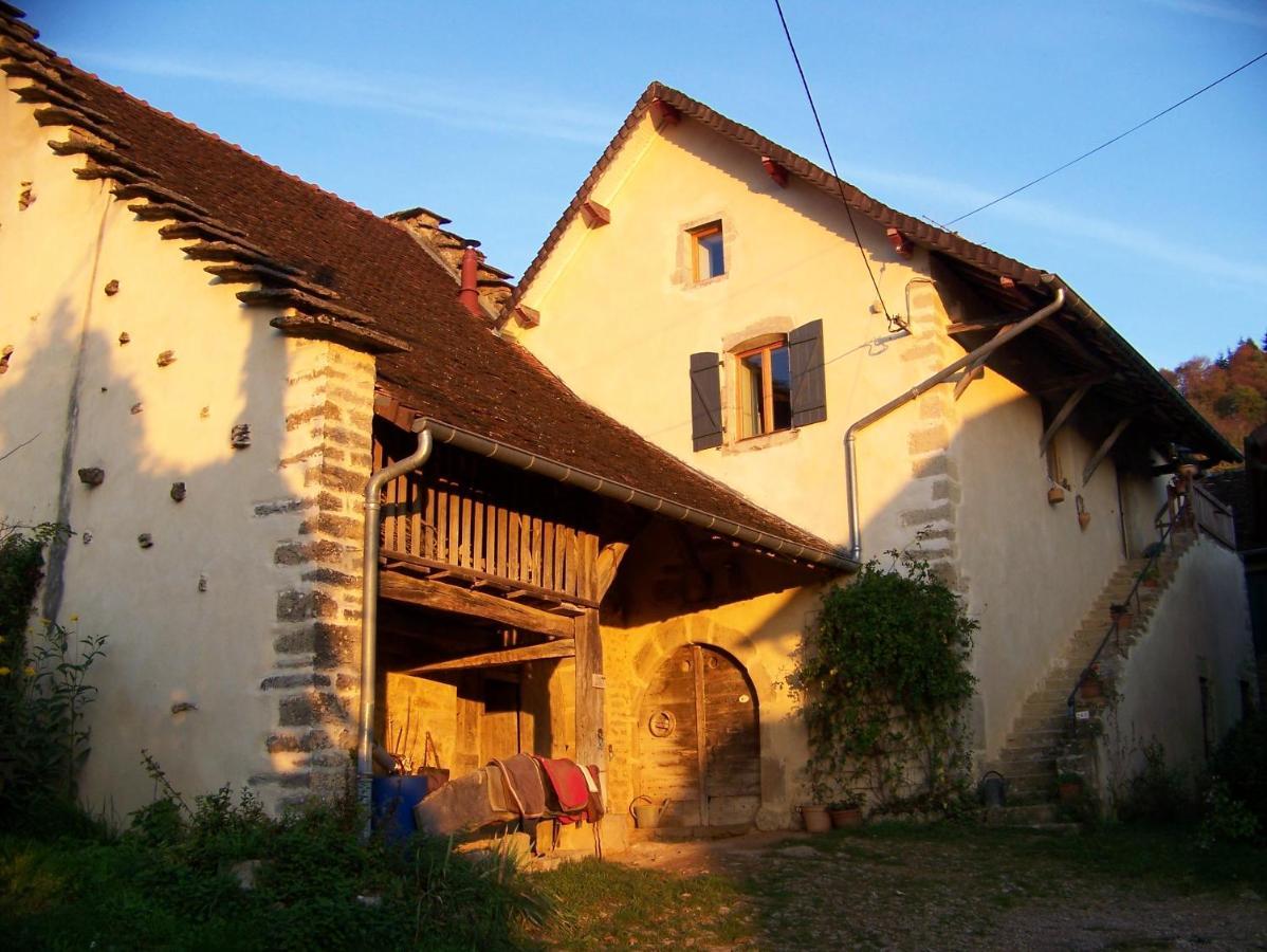 Maison Du Rostaing Passenans Zewnętrze zdjęcie