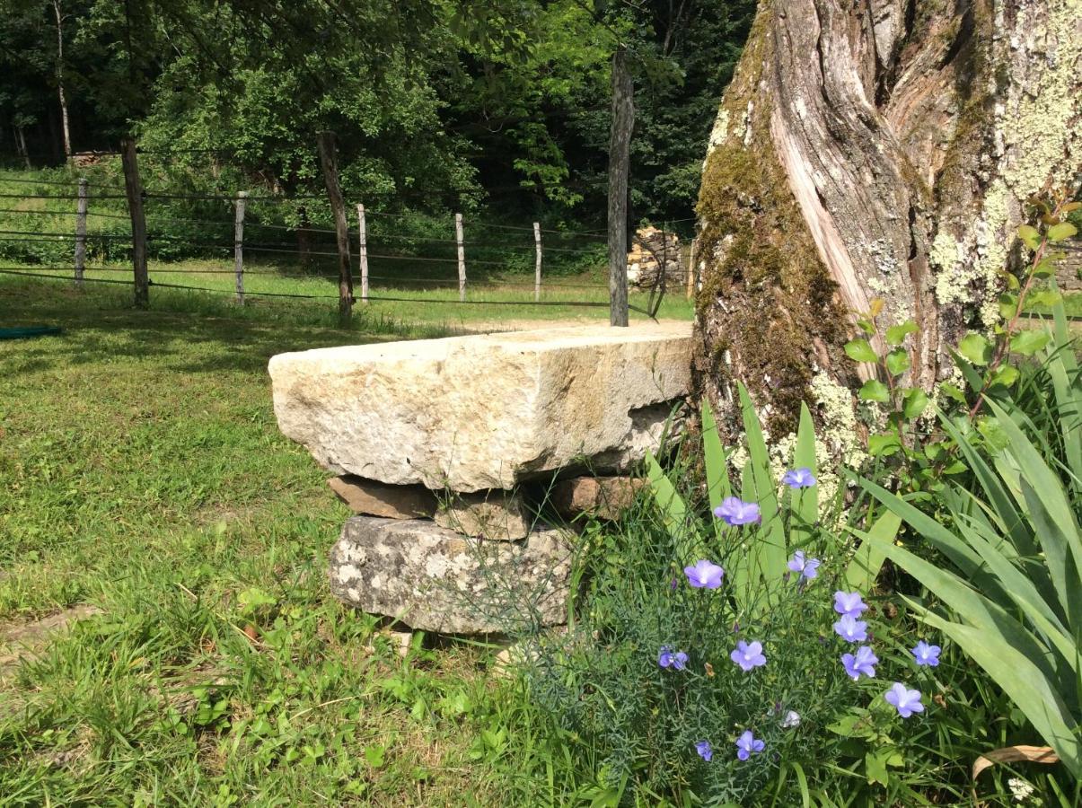 Maison Du Rostaing Passenans Zewnętrze zdjęcie
