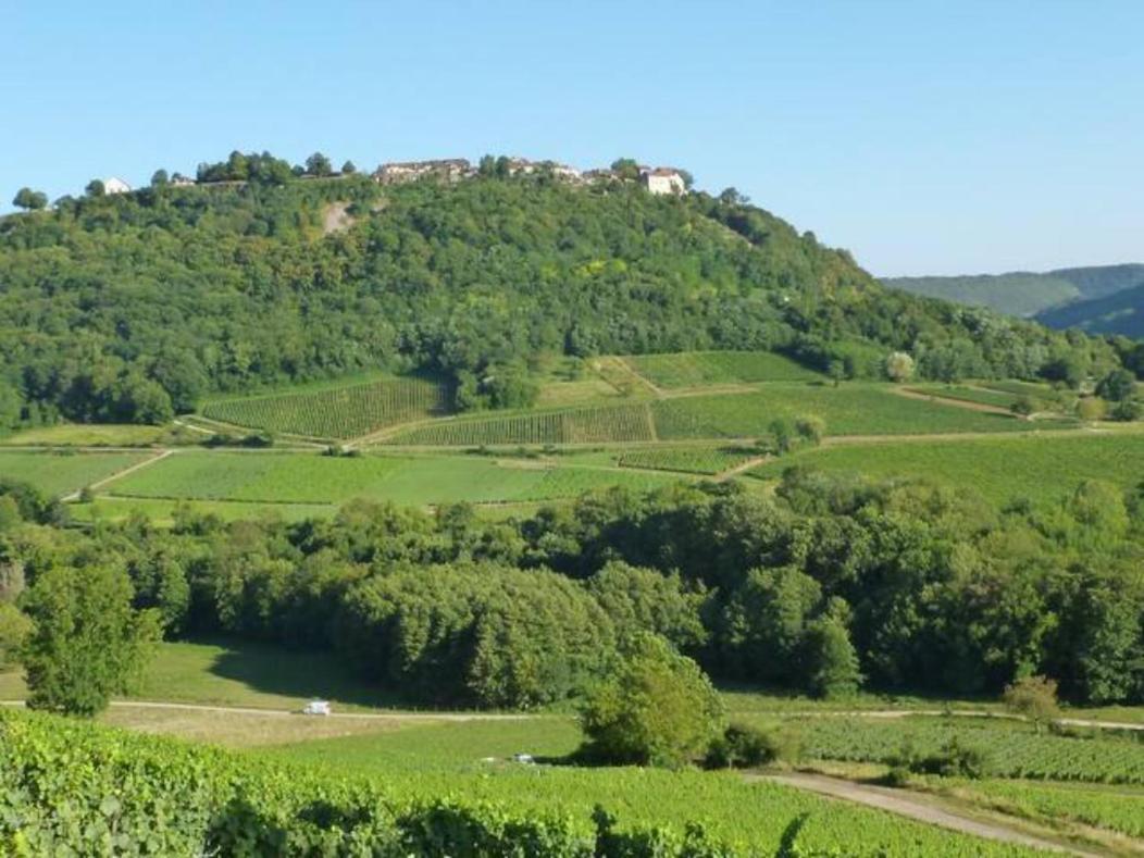 Maison Du Rostaing Passenans Zewnętrze zdjęcie