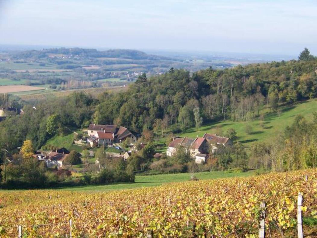 Maison Du Rostaing Passenans Zewnętrze zdjęcie